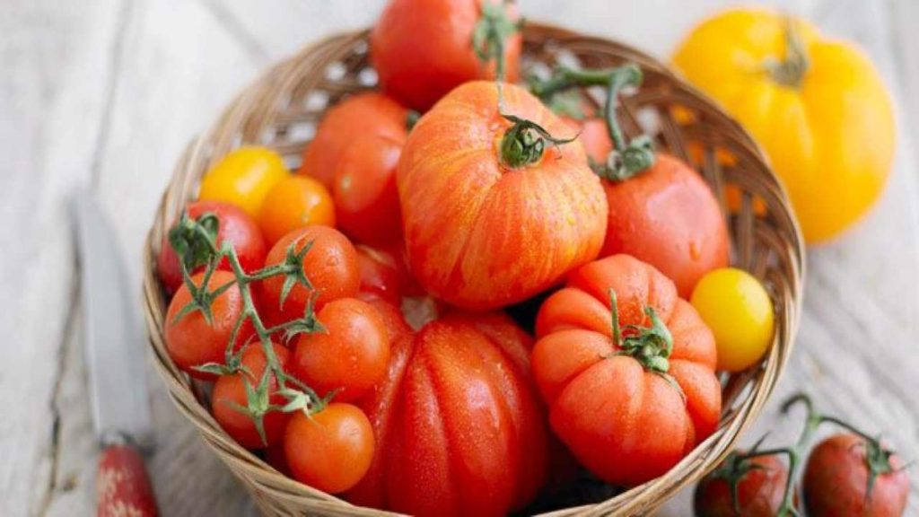 faire mûrir vos tomates en quelques heures